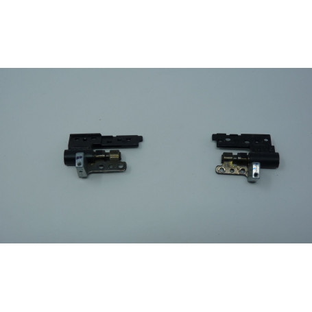 Hinges  for DELL Precision M6600