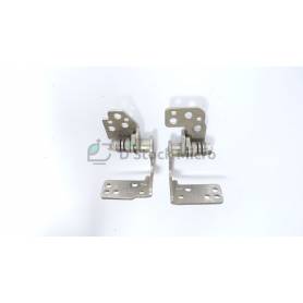 Hinges  -  for Sony VAIO PCG-7182M 
