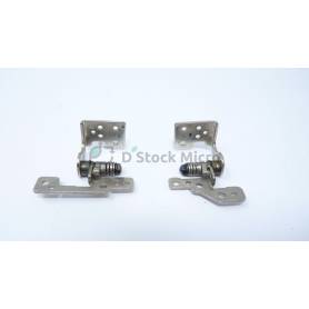 Hinges  -  for Sony Vaio PCG-91111M